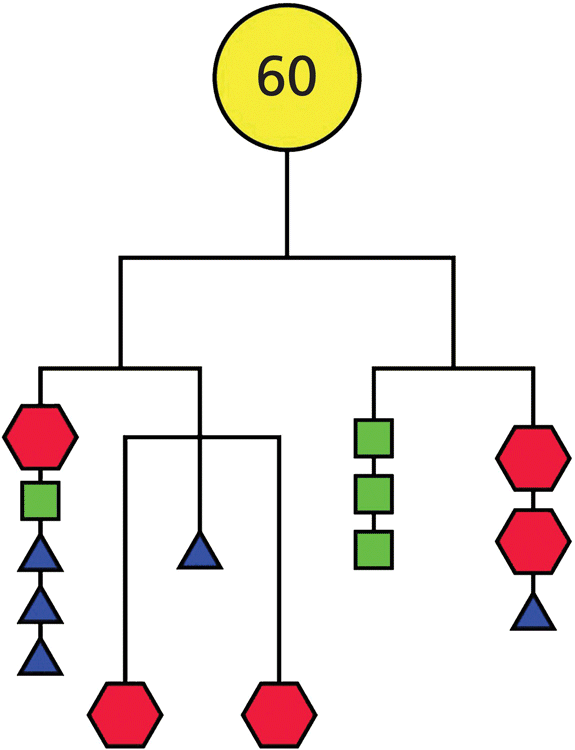 Diagram with a circle labeled 60 branches to hexagon and triangle (left) and square and hexagon (right). The triangle leads to 2 hexagons. The square and the hexagon at the right lead to a square and a triangle, respectively.