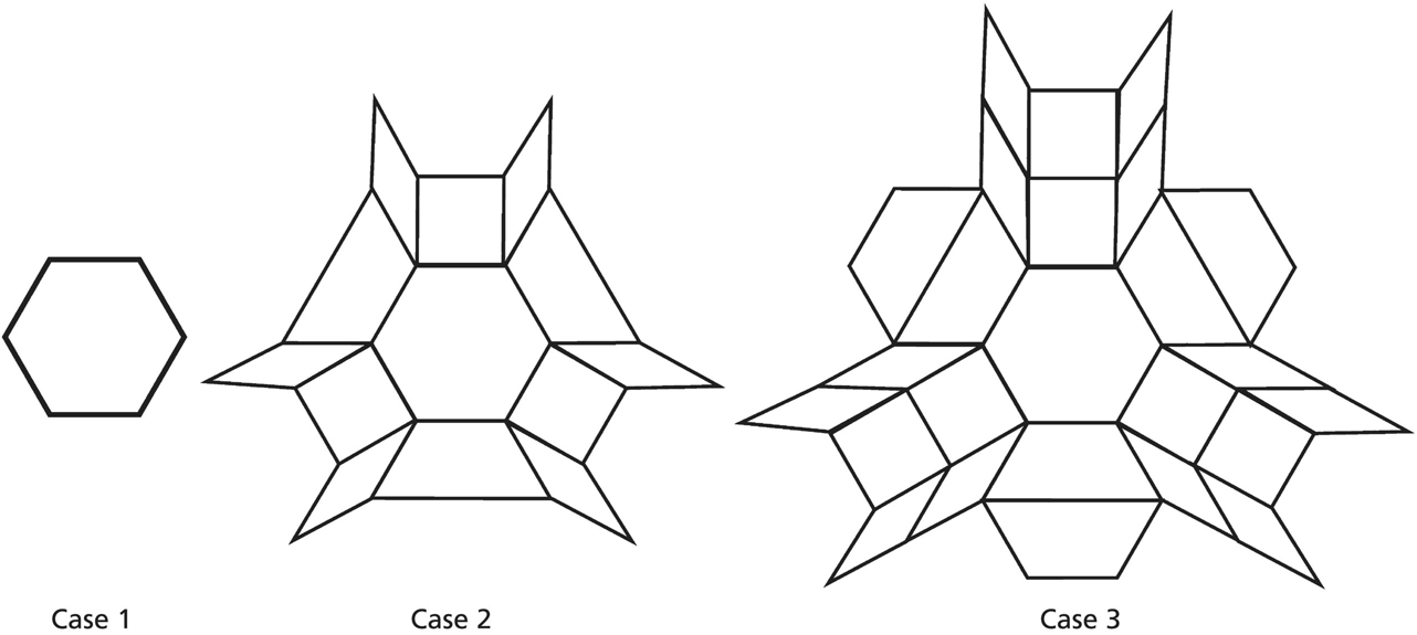 A hexagon labeled case 1 and two hexagons labeled case 2 (lesser) and case 3 with adjacent 4-sided polygons.