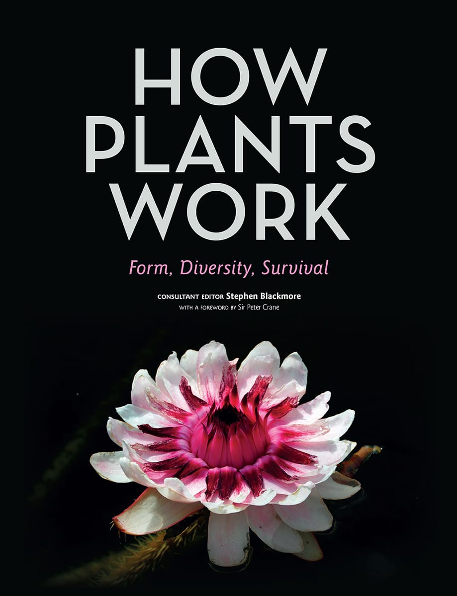 How Plants Work: Form, Diversity, Survival