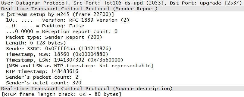 RTCP packet