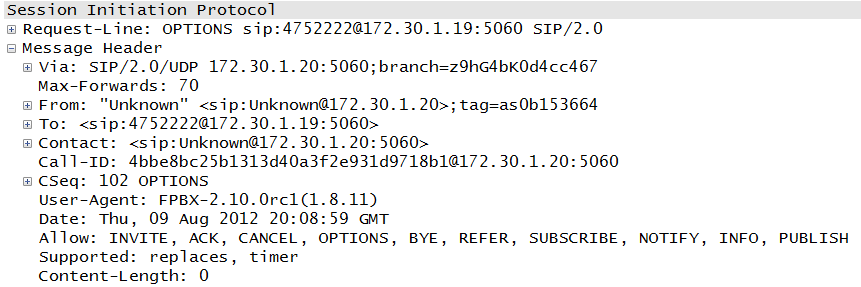 SIP options packet