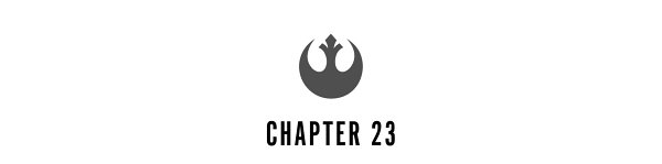 Chapter 23