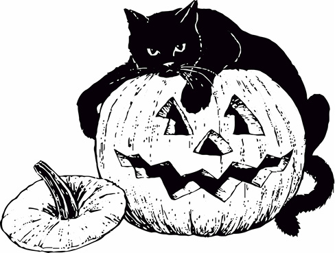 _cat%20on%20pumpkin.tif