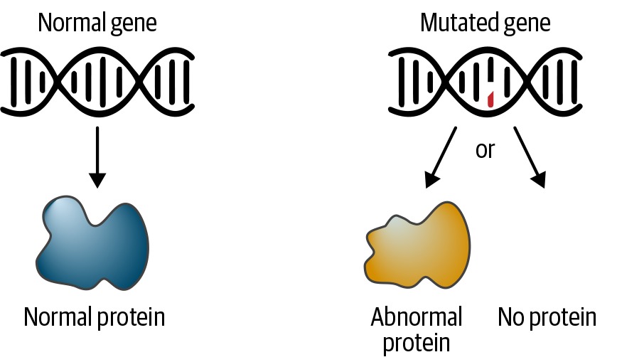 A mutation in the DNA sequence can cause the gene’s protein product to function abnormally or disable its production entirely.