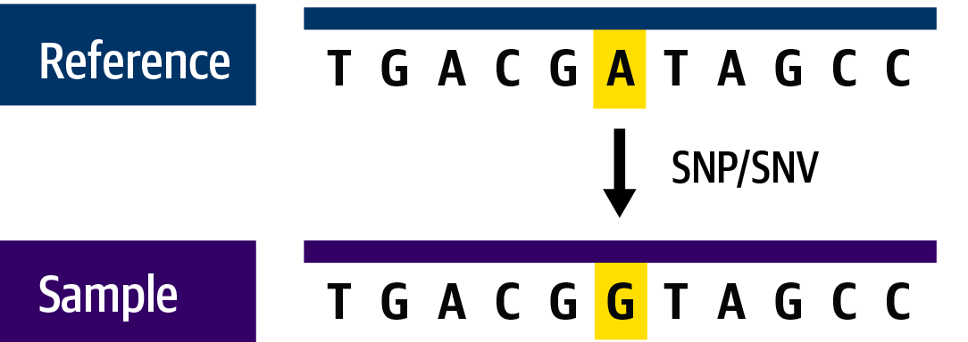 Single-nucleotide variants.