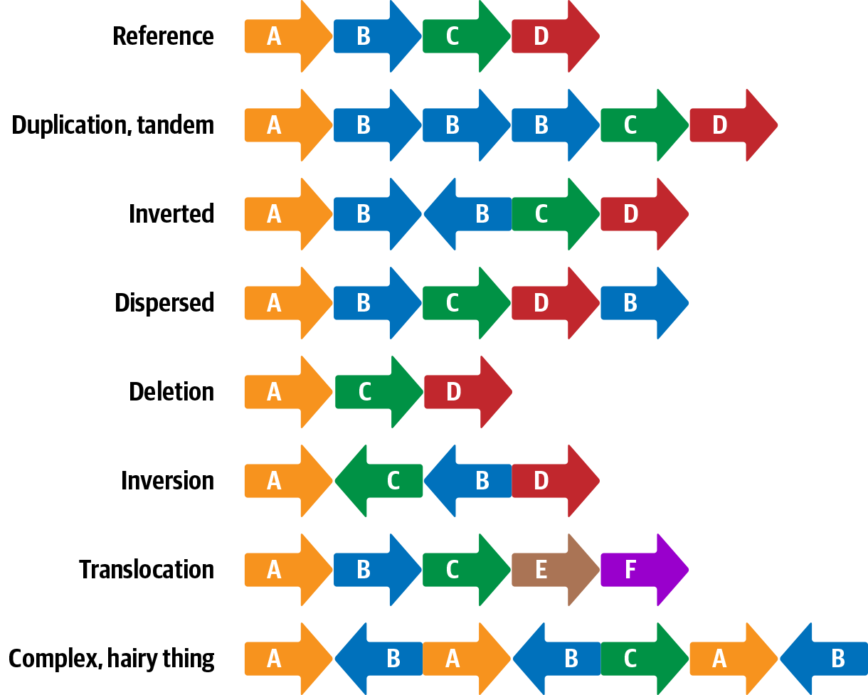 Examples of structural variants.