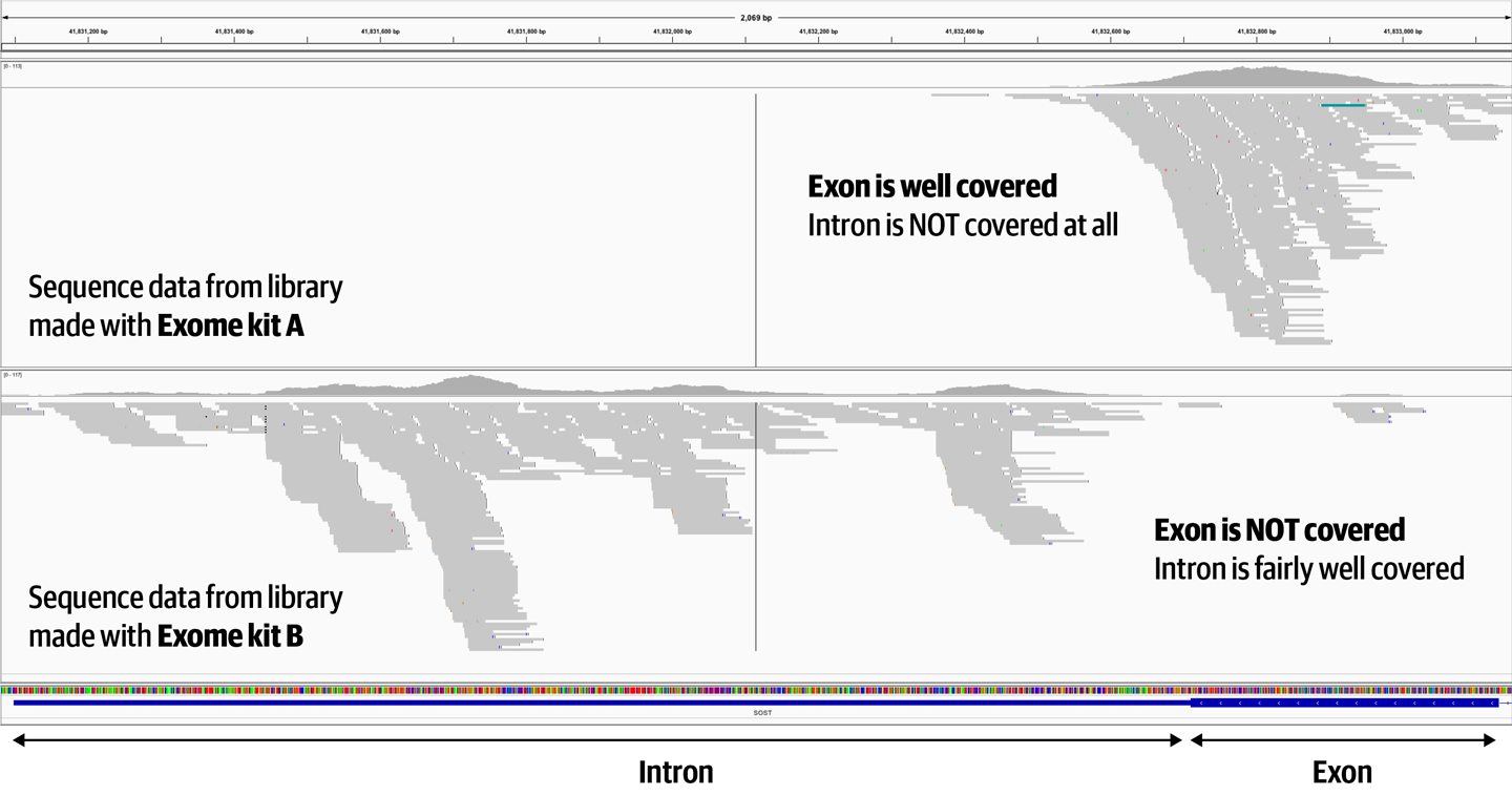 Different exome preparation kits can lead to important differences in coverage location and quantity.