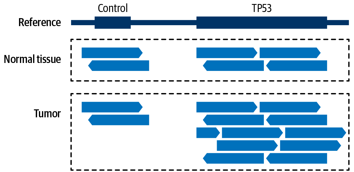 Relative amounts of coverage provide evidence for copy number modeling.