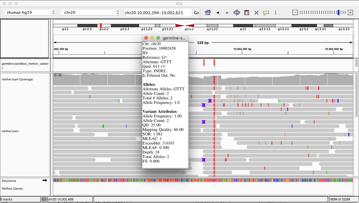 The original BAM file and output VCF file loaded in IGV.