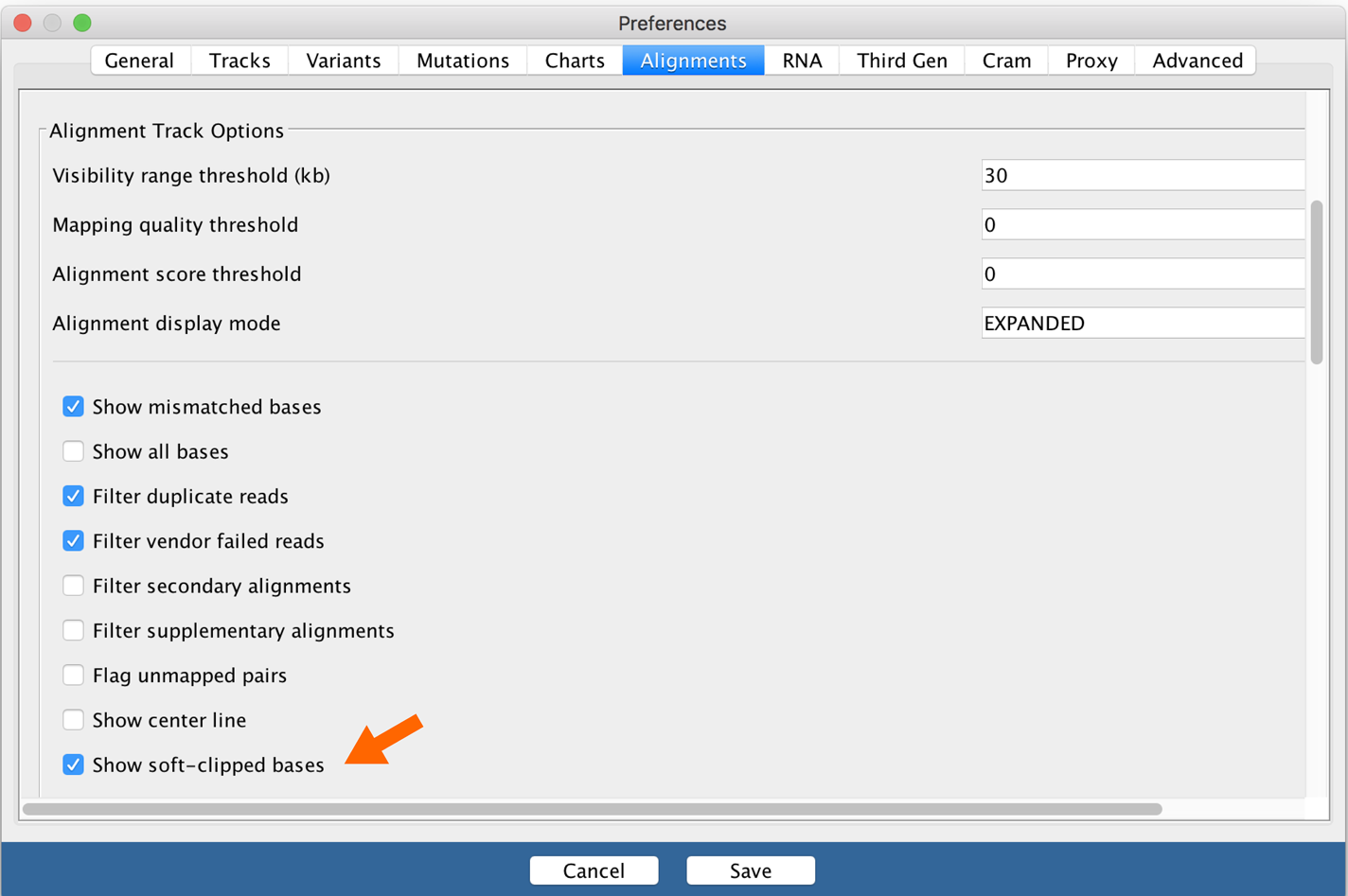 IGV alignment settings.