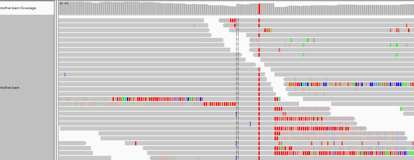 Turning on the display of soft clips shows a lot of information that was hidden.