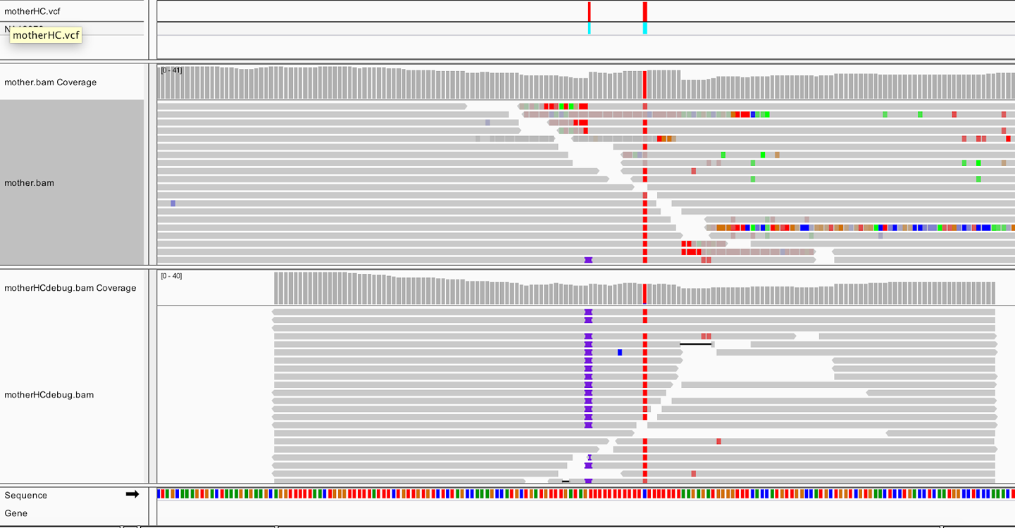 Realigned reads in the bamout file (bottom track).