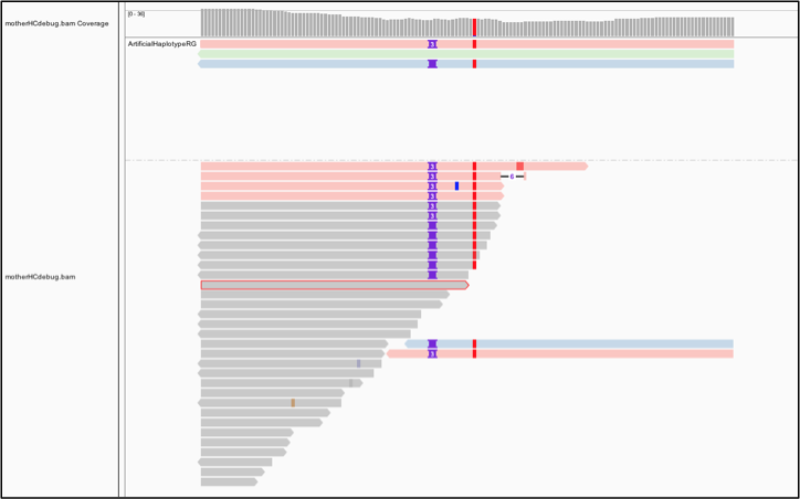 Bamout shows support per haplotype.