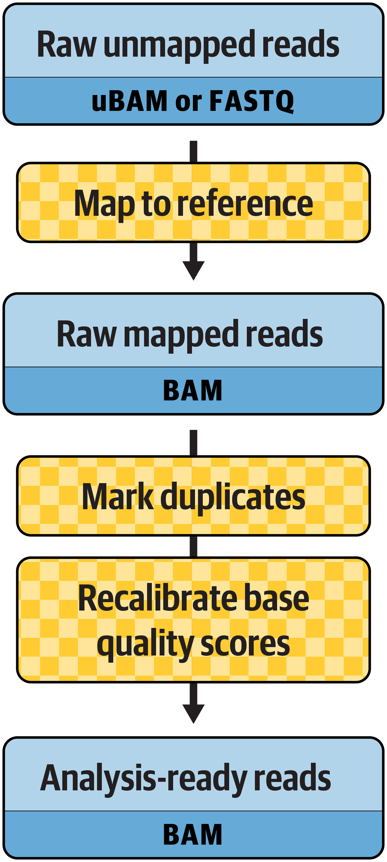 The main steps in the preprocessing workflow.