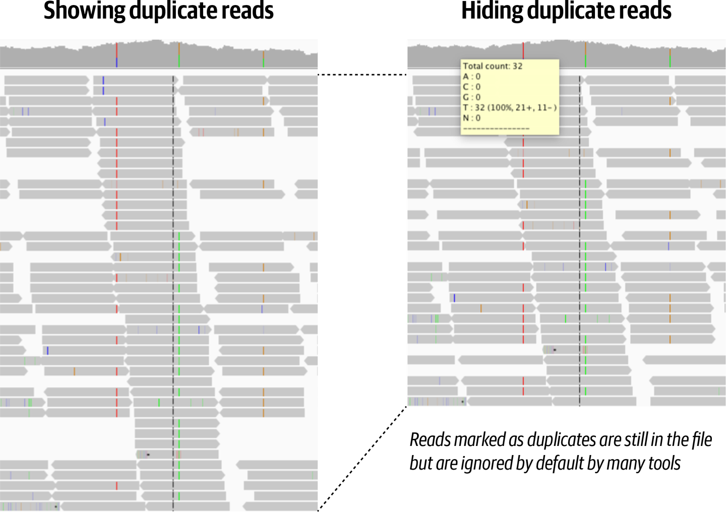 The effect of duplicate marking visualized in Integrated Genome Viewer.