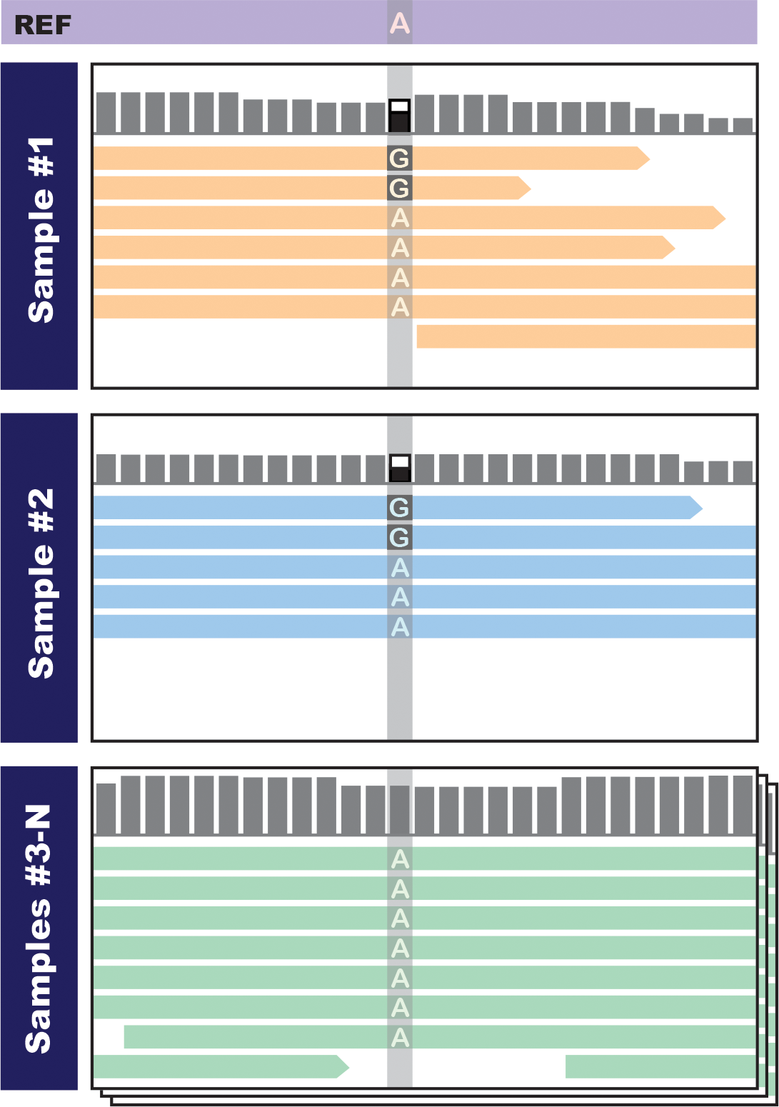 Seeing concordant evidence in multiple samples boosts our confidence that there is real variation.