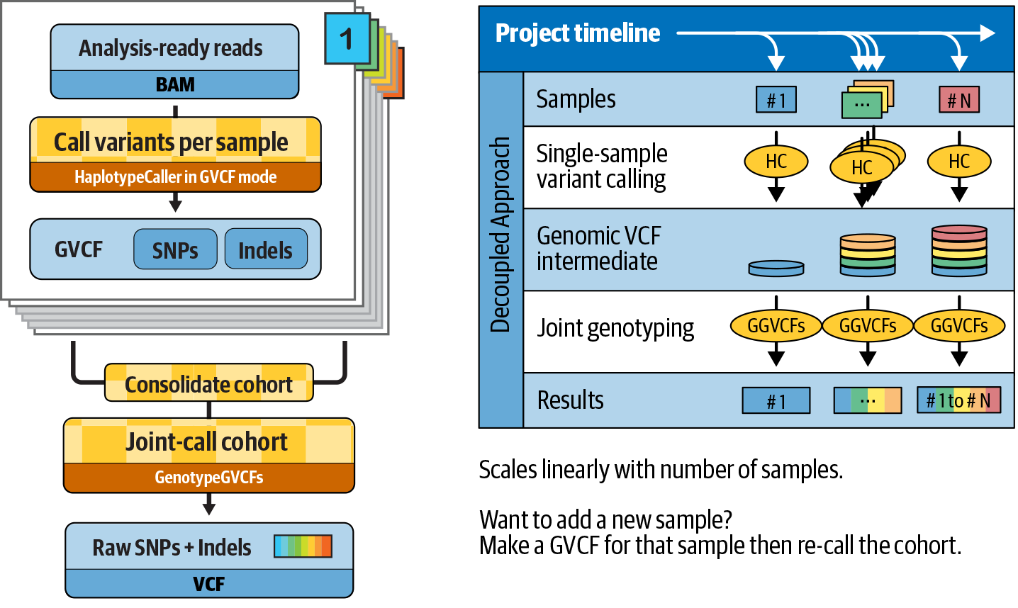 The GVCF workflow improves the scaling of joint calling and solves the N + 1 problem.