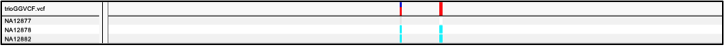 Variant call with genotype assignment for the three samples.