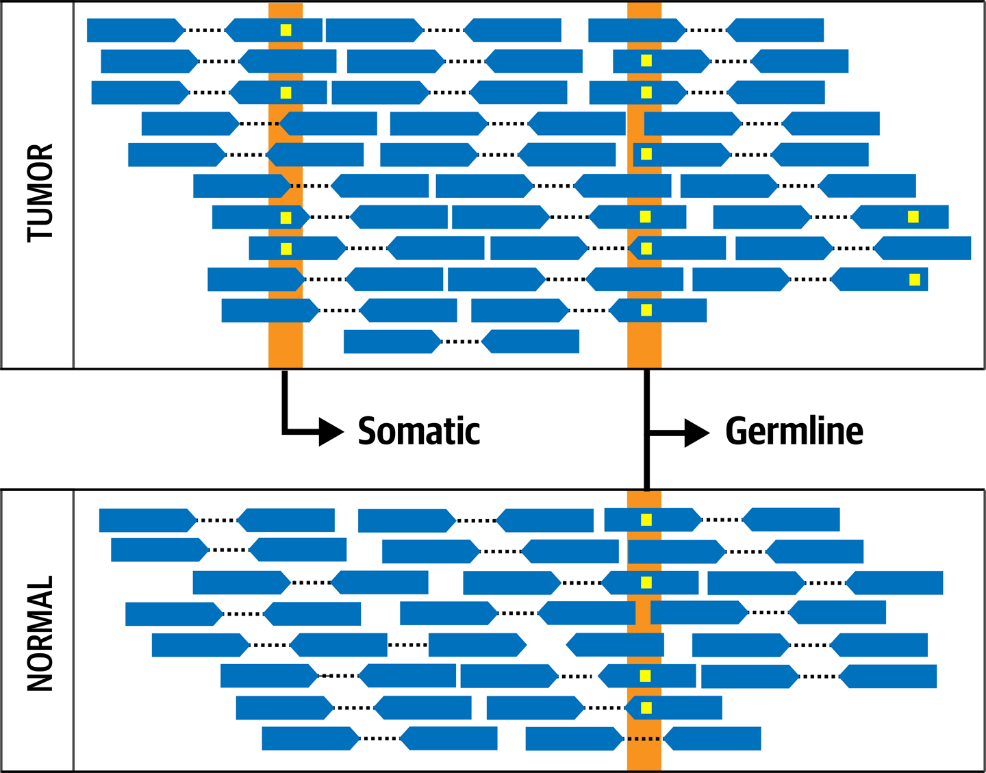 The fundamental concept of Tumor-Normal comparison.