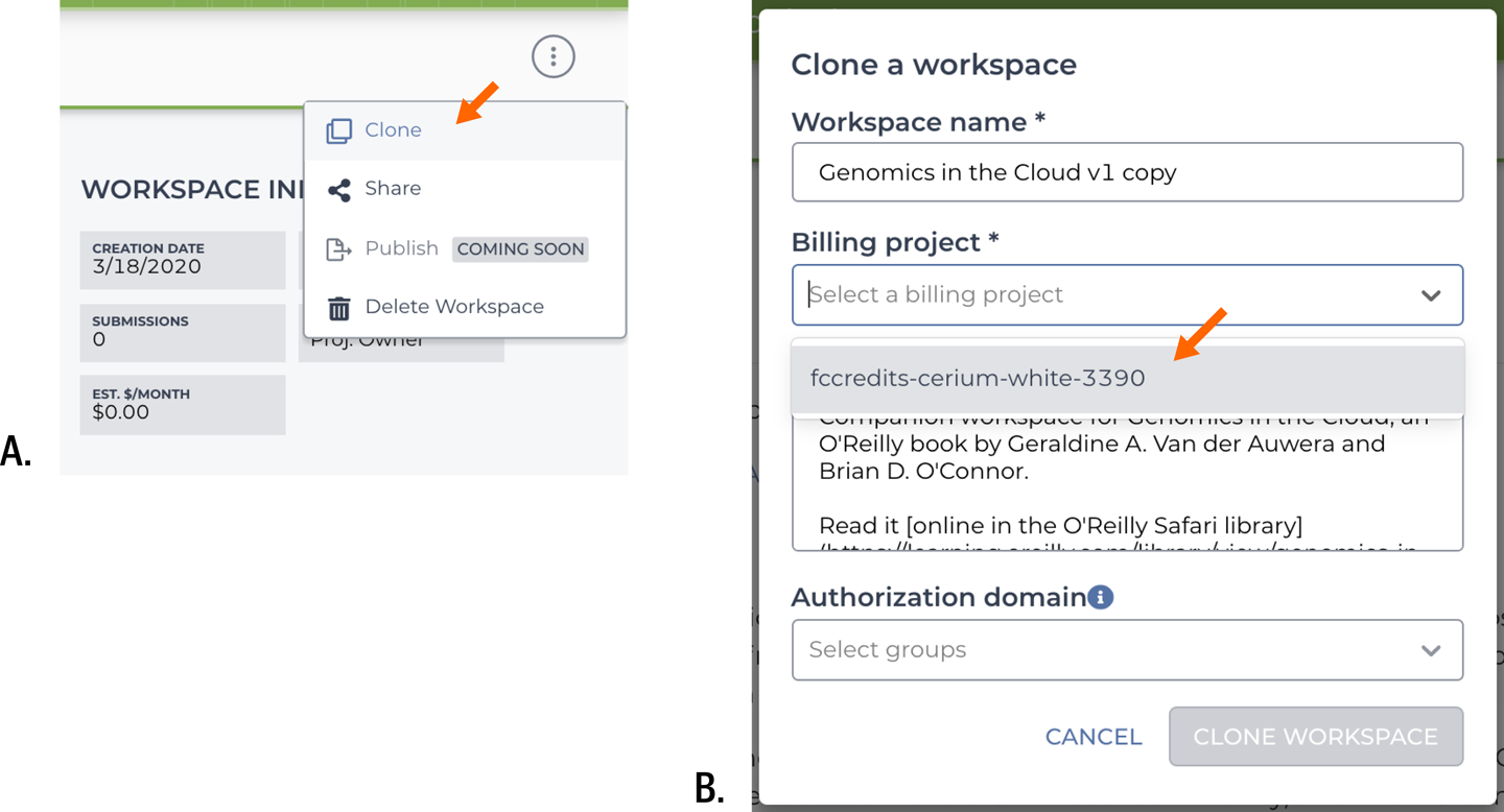 Cloning the preconfigured workspace. A) List of available actions; B) cloning form.