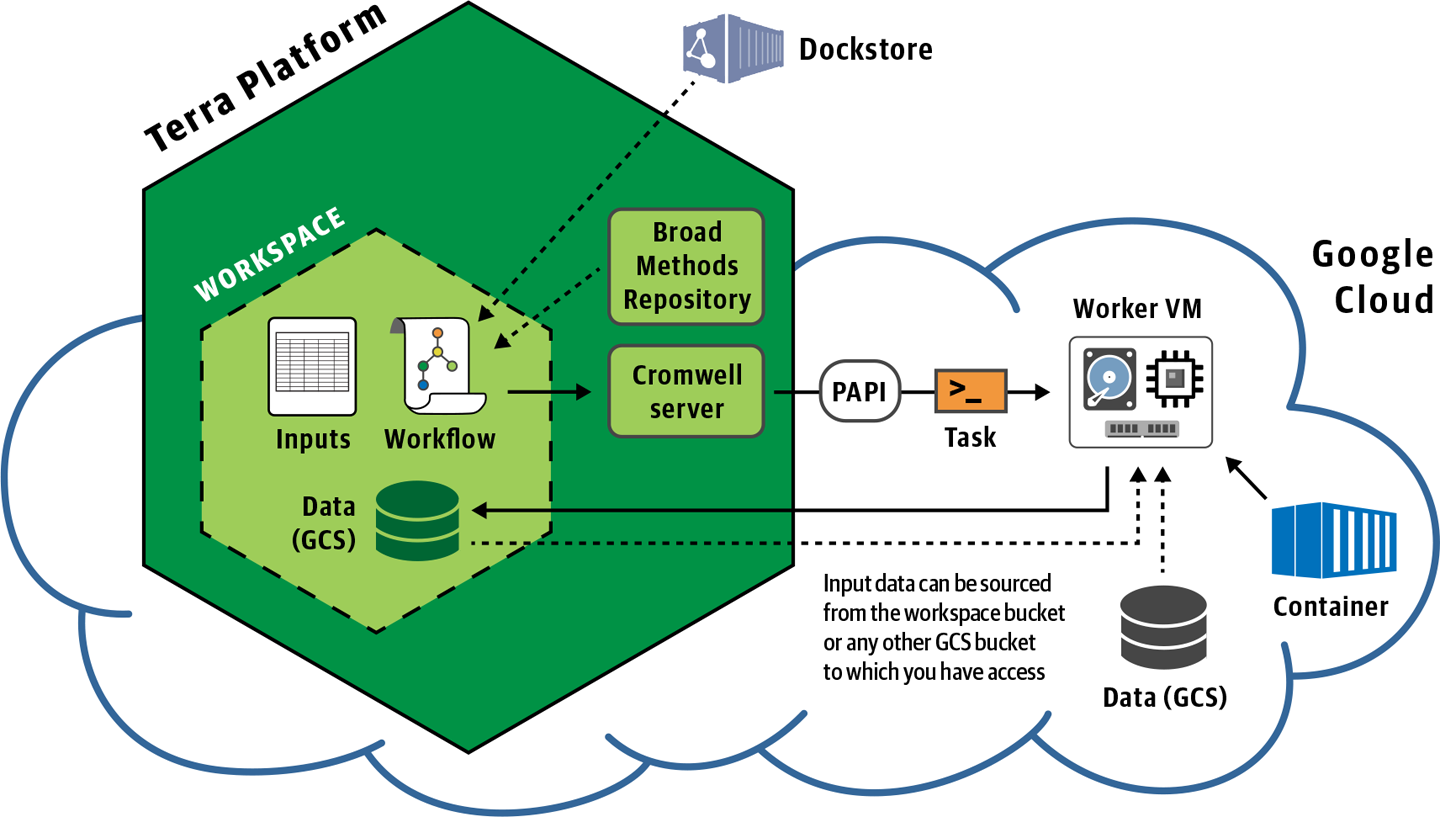 Overview of workflow submission in Terra.