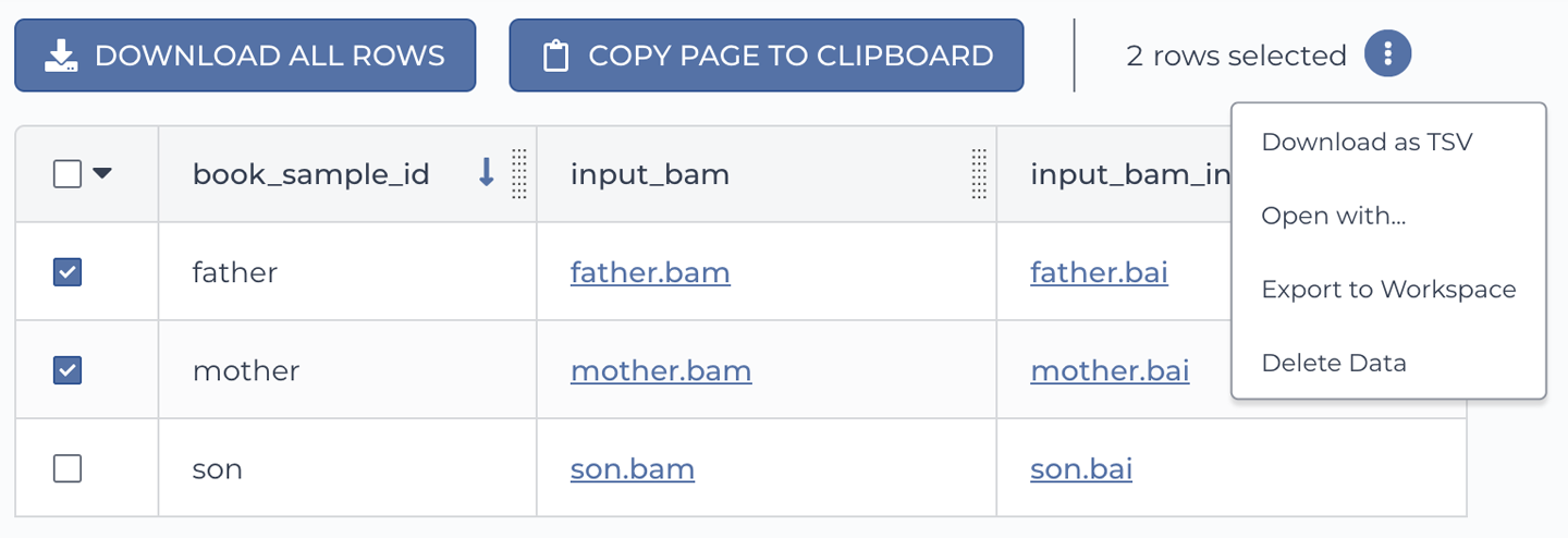 Initiating an analysis directly on a subset of data.  