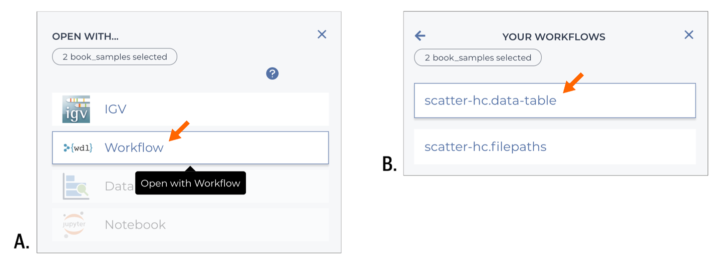 Specifying a workflow to run on the selected data.