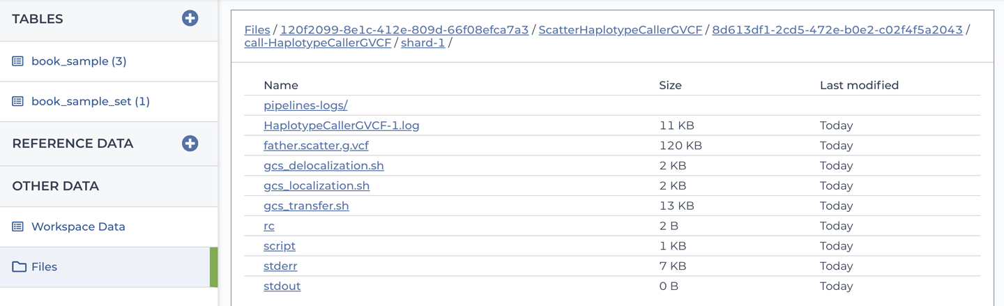 The file browser interface showing workflow outputs in the workspace bucket.