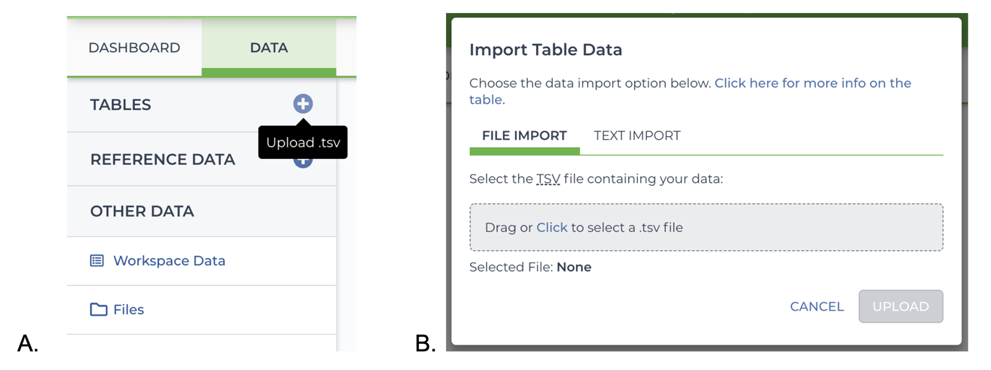 TSV load file import A) button, and B) dialog.