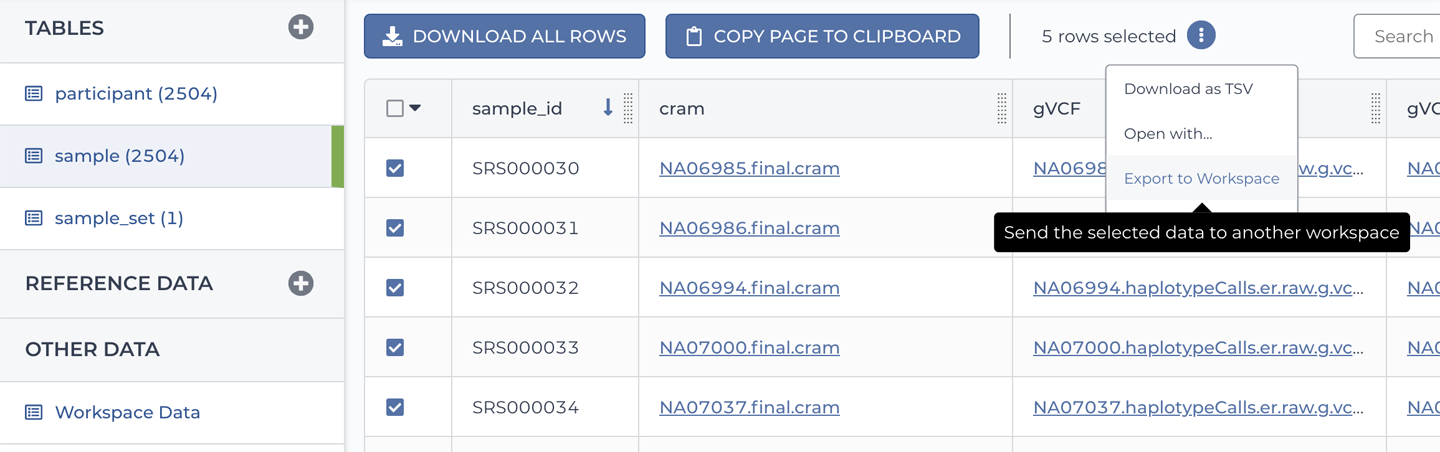 The Copy Data to Workspace dialog box.