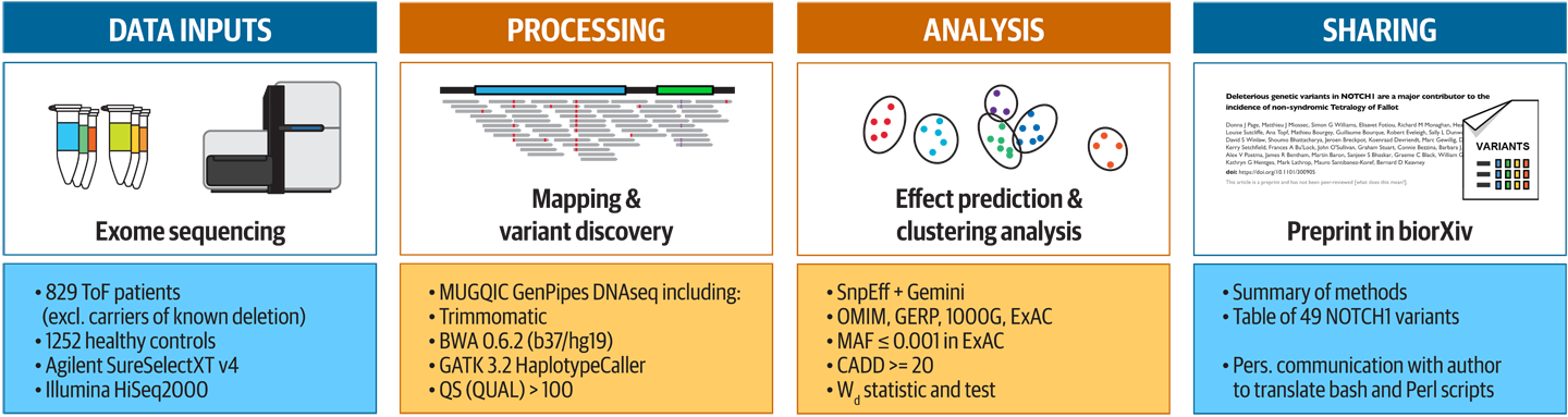 Summary of the information provided in the original preprint of the Tetralogy of Fallot paper.