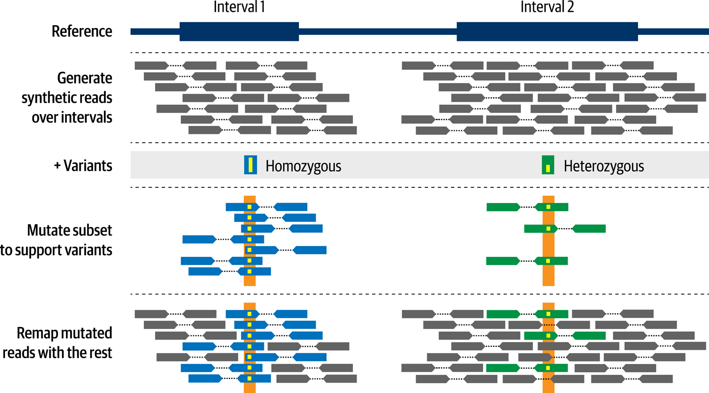 NEAT-Genreads creates simulated read data based on a reference genome and list of variants.