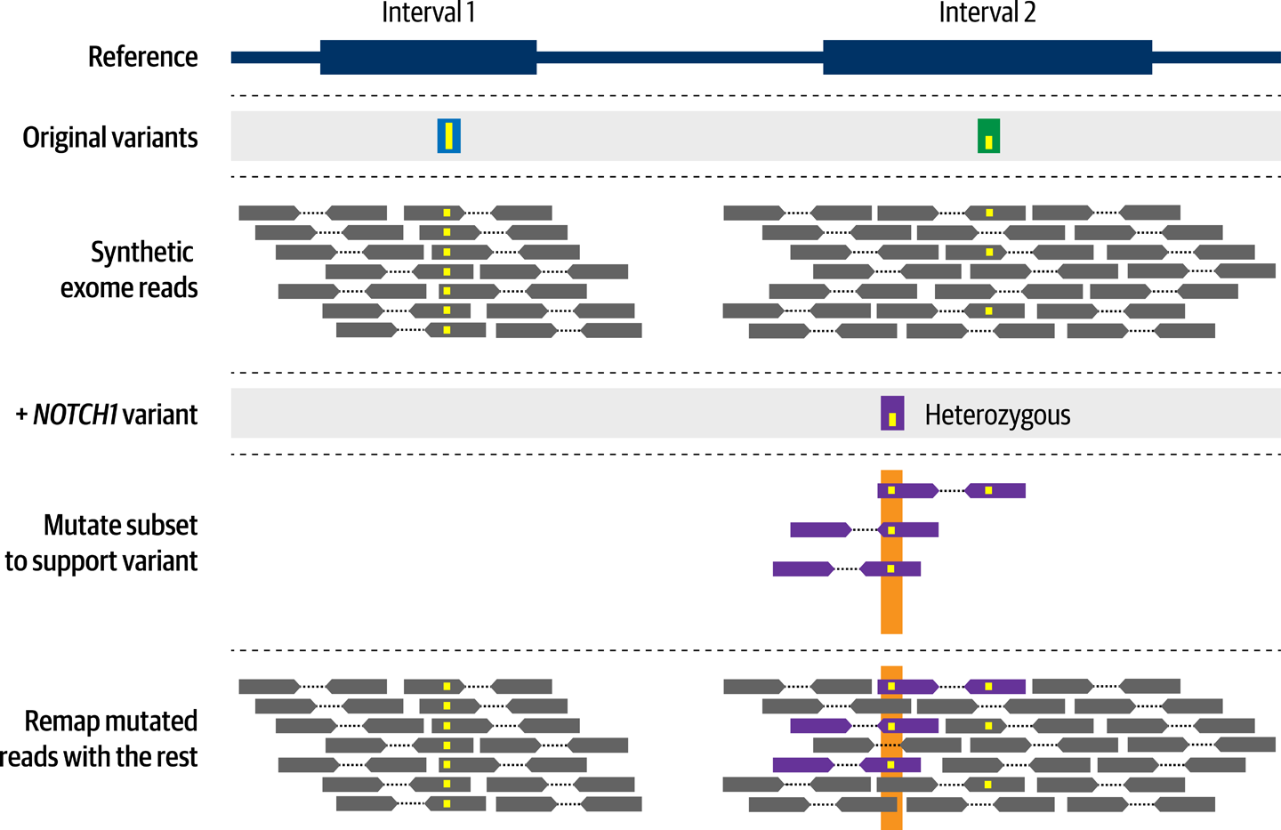 BAMSurgeon introduces mutations in read data.