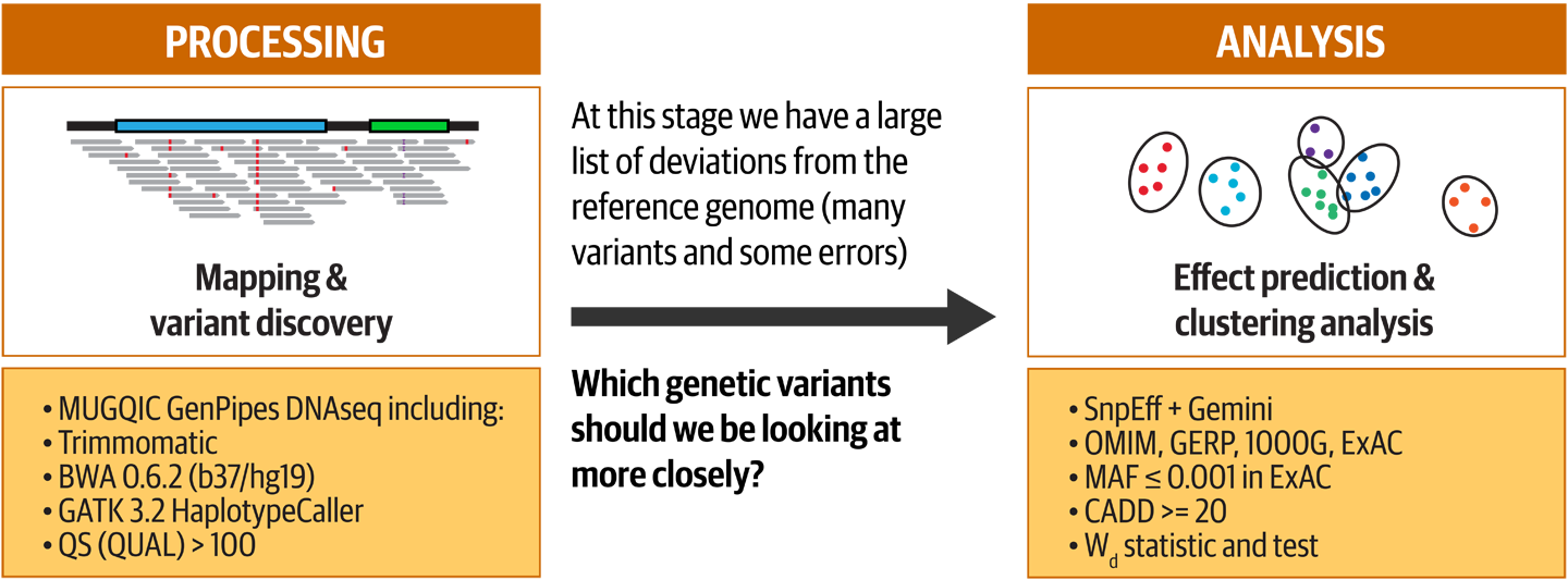 Summary of the two phases of the study: Processing and Analysis.