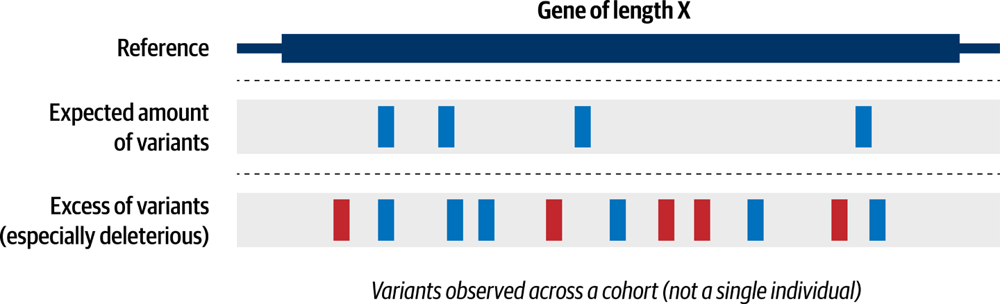 Comparing variant load in a gene across multiple samples.