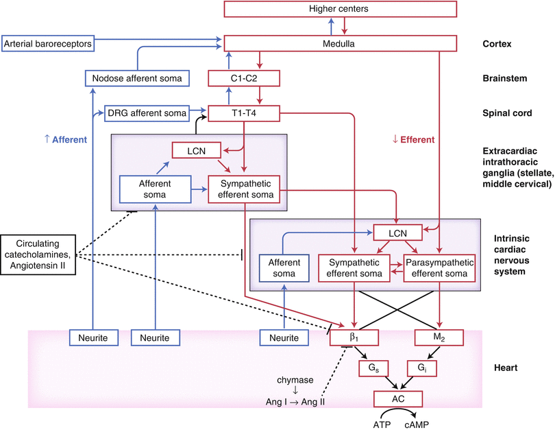 A319641_1_En_2_Fig2_HTML.gif