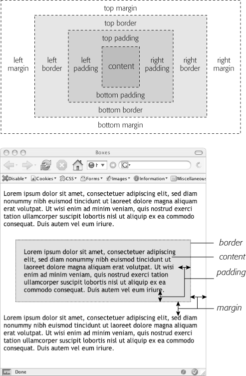 The CSS box model includes the content inside a tag (for example, several sentences of text) plus padding, borders, and margins. The area within the border, which includes the content and padding, may also have a background color. Actually, the background color is drawn underneath the border, so when you assign a dashed or dotted border, the background color appears in the gaps between the dots or dashes.