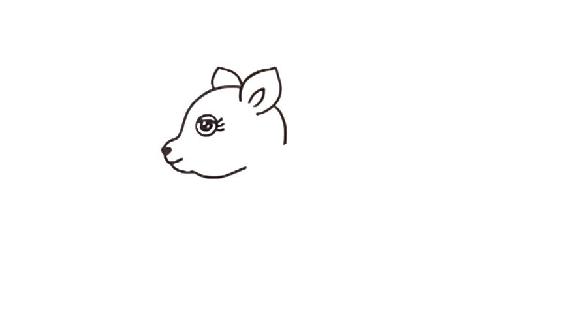 how to draw animals in simple steps