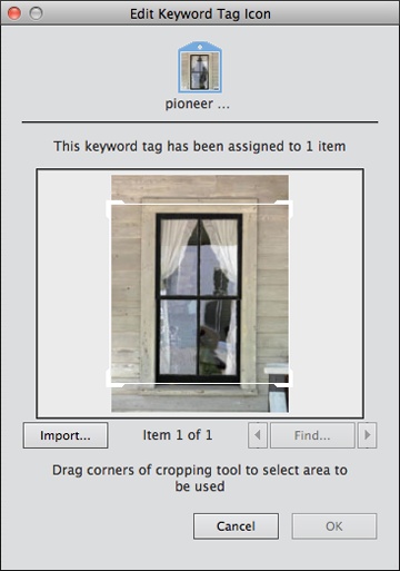 Some people like to edit the icons that Elements uses to represent different tags to make it easy to search for a tag visually as well as by name.To change the picture associated with a tag, in the Tags panel, right-click/Control-click the tag, and then choose Edit. In the Edit Keyword Tag dialog box that appears, click Edit Icon, and Elements opens the dialog box shown here.The arrows on either side of the Find button let you advance through all the photos that use that tag. (If you click the Find button itself, you see all those photos at once.) If you don’t want to use any of those images as the icon, click the Import button to use a different image stored on your computer. Once you select a picture, drag the white square to choose which part of the photo appears on the tag.