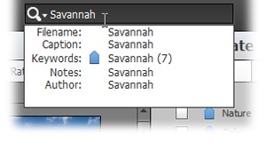 When you start typing in the Organizer’s search box, this menu slides out to help you focus your search. If you’re searching for files with “Savanah” in their names, for example, click the “Filename: Savannah” menu item to see those images.