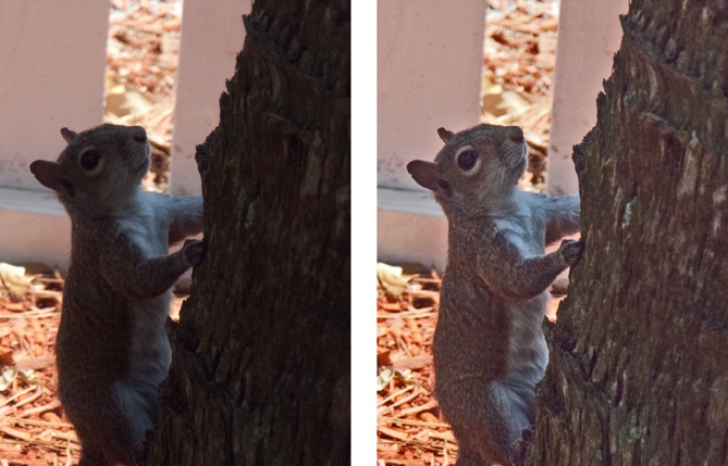 Left: This image has overly bright highlights and shadows that are much too dark.Right: After adjusting the shadows and highlights, you can see there’s plenty of detail here. (Use the Adjustments panel’s color sliders—described in the next section—to get rid of the orange tone.)