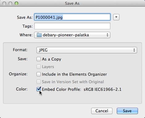 When you save a file, Elements offers to embed a color tag in it. If you’re using No Color Management, you can safely turn off the Embed Color Profile checkbox and leave the file untagged.Assigning a profile is helpful because then any program that sees the file knows what color standards you’re working with. But if you’re new to Elements, you’ll usually have an easier time if you don’t start embedding profiles in files without a good reason.