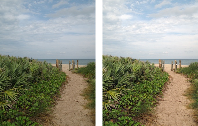 A simple Levels adjustment can make a huge difference in the way your photos look.Left: The gray-green cast to this photo makes everything rather dull.Right: Levels not only removes the color cast, but it also gives the photo better contrast and sharpness.