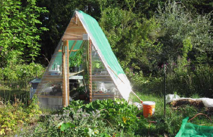 Coop converted to greenhouse.