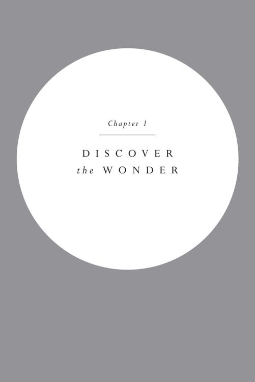 Chapter 1: Discover the Wonder