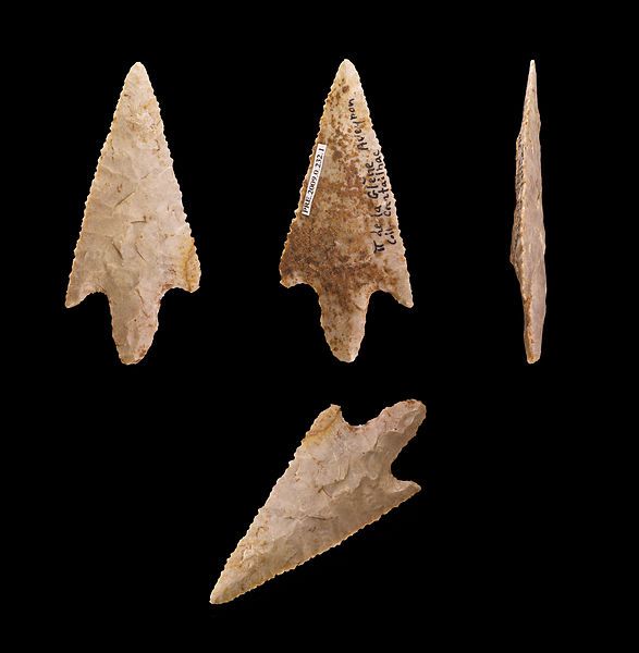 Plate 10: Neolithic chert arrowhead