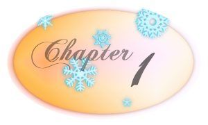 Chapter 1