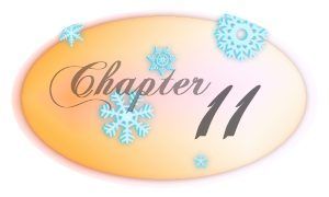 Chapter 11