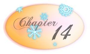 Chapter 14