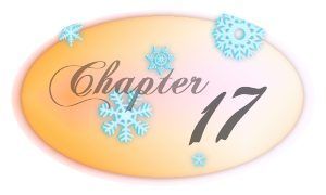 Chapter 17